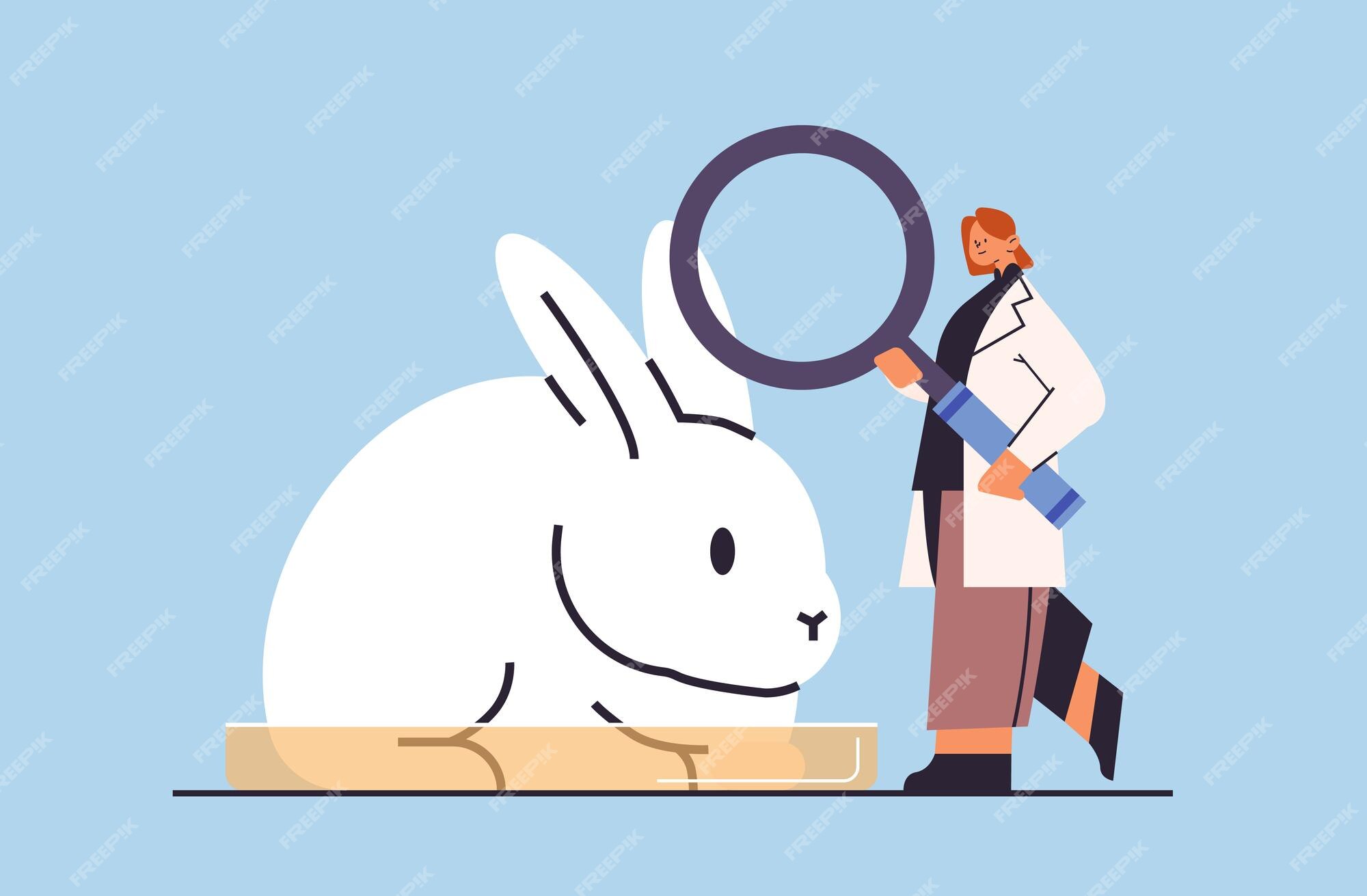 Premium Vector | Scientist doing experiments in lab with animal veterinary  worker with experimental rabbit biological genetic engineering research at  laboratory horizontal vector illustration
