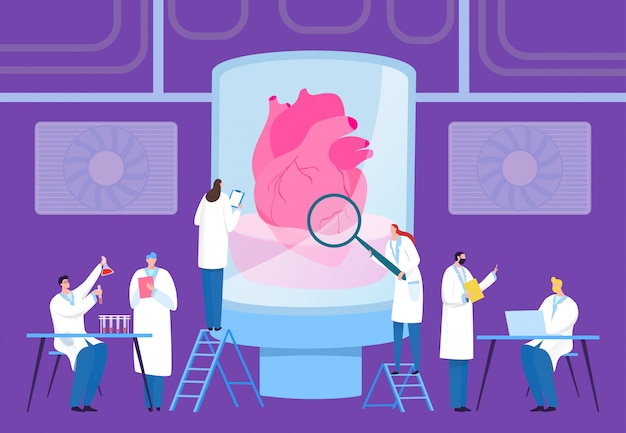 Lo scienziato coltiva il cuore di trapianto in laboratorio, illustrazione. lo specialista in camice bianco coltiva l'organo interno in pallone.