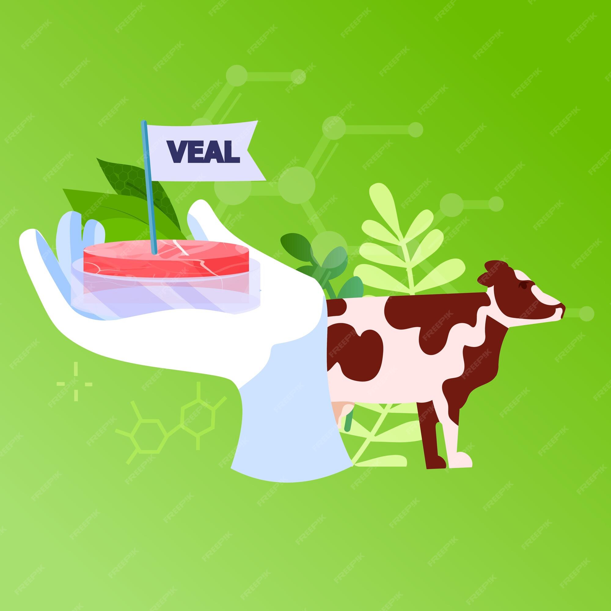 Premium Vector | Scientist hand holding cultured red raw veal made from animal cells artificial lab grown meat production concept vector illustration Premium Vector | Scientist hand holding cultured red raw veal made from animal cells artificial lab grown meat production concept vector illustration