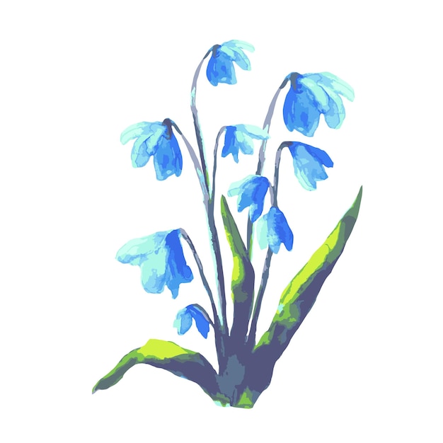 シラーbifoliaスノードロップ花サクラソウ春の花illustratioベクトル