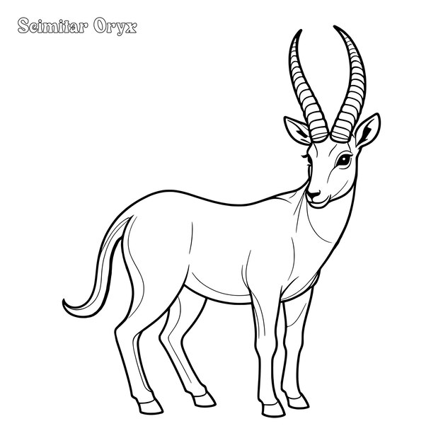 スキミター・ホーンド・オリックス (Scimitar horned Oryx) の手描きカラーページと概要ベクトルデザイン