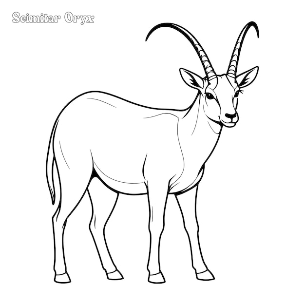 Vector scimitar horned oryx hand drawn coloring page and outline vector design