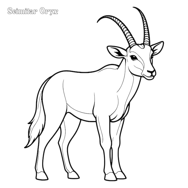 Vector scimitar horned oryx hand drawn coloring page and outline vector design