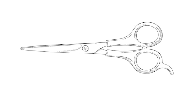 Clip Art Tesoura Clipart - Hair Scissors Drawing, HD Png Download ,  Transparent Png Image - PNGitem