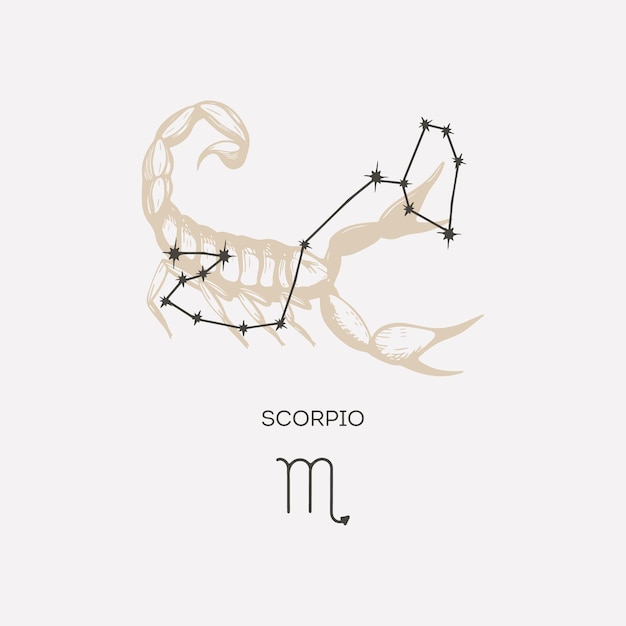 Vettore illustrazione vettoriale della costellazione dello scorpio