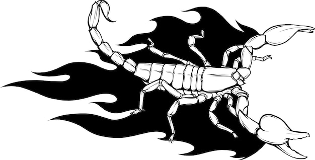 scorpion graphic design vector illustrationart tattoo sketchhand drawprint use