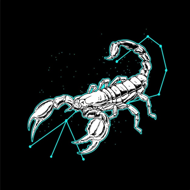 scorpion illustration