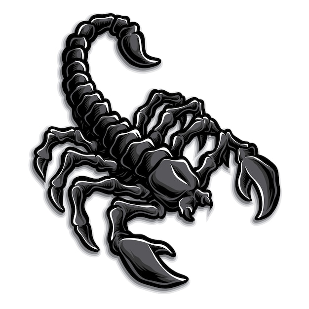 Vettore scorpion logo