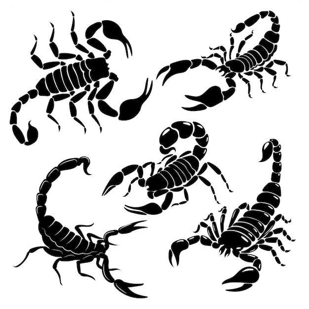 Scorpion set. A collection of black and white stylized scorpions.  