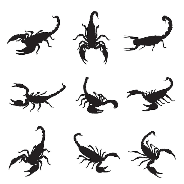 Vector scorpion silhouette