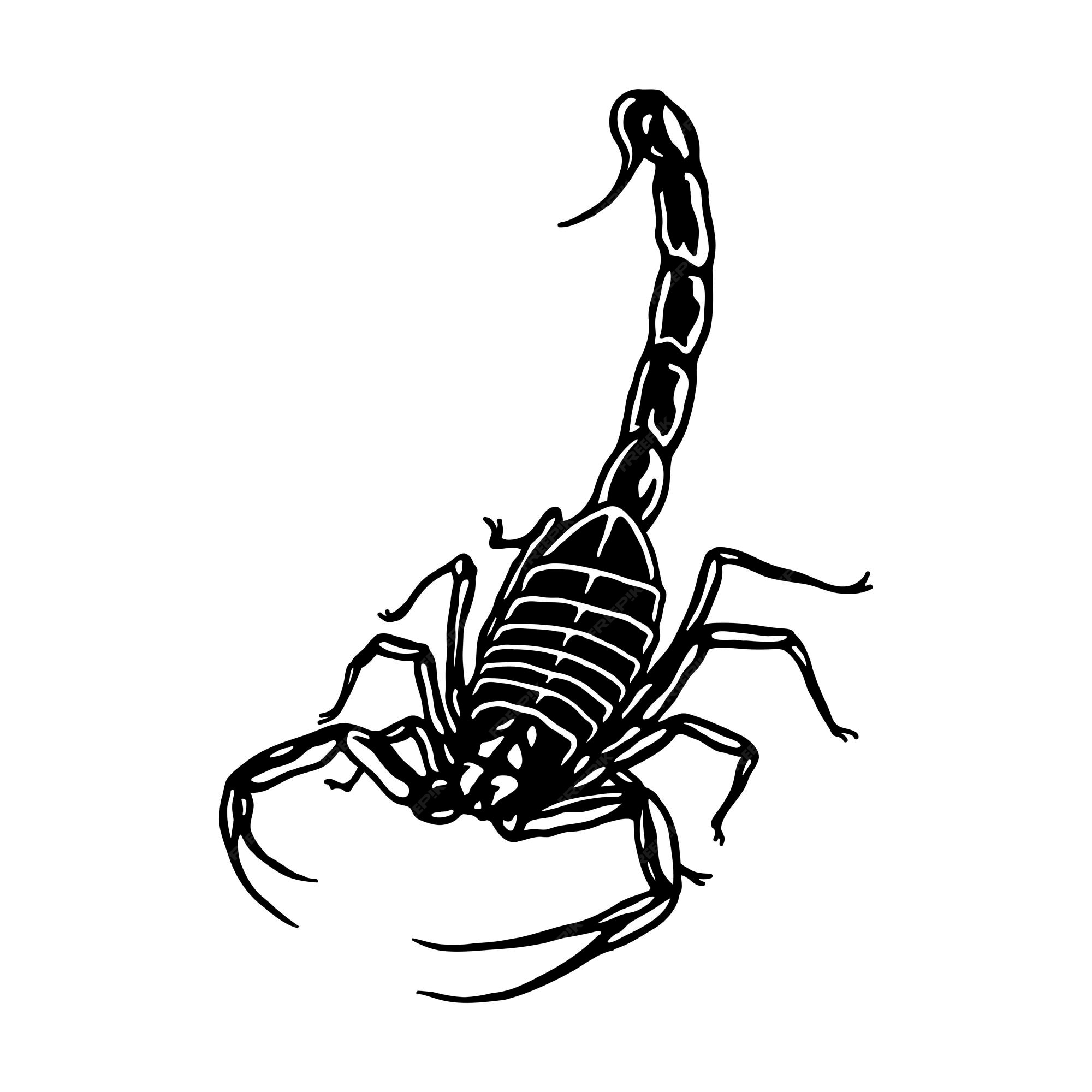Scorpion Tattoo Images - Free Download on Freepik Scorpion Tattoo Images - Free Download on Freepik