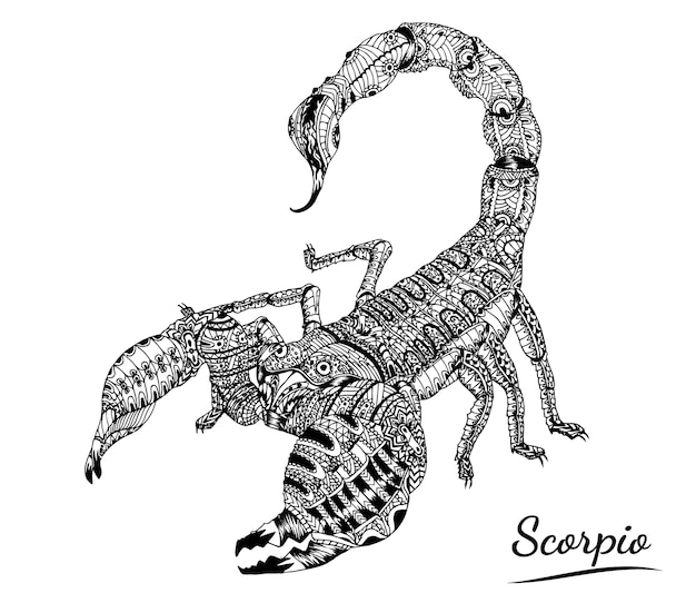 Скорпион тату вектор на белом фоне.