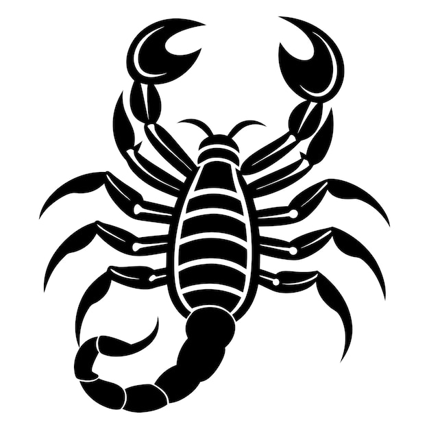 a scorpion that has the word scorpion on it
