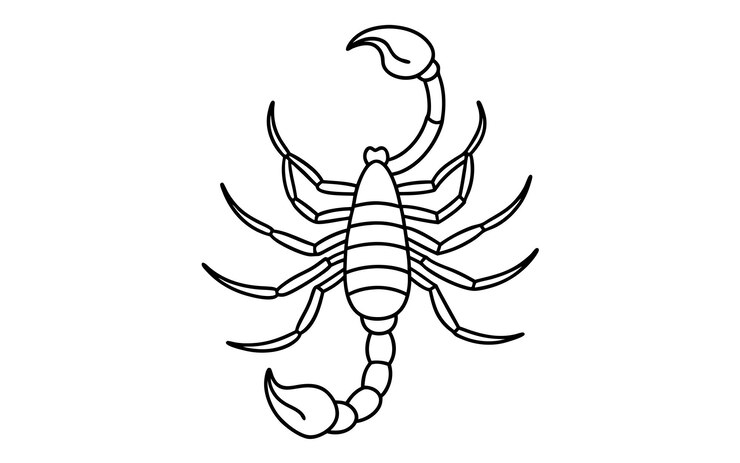 Vector scorpion vector illustration line art for coloring book page