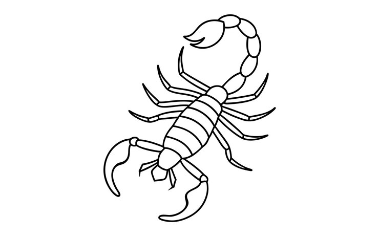 Vector scorpion vector illustration line art for coloring book page