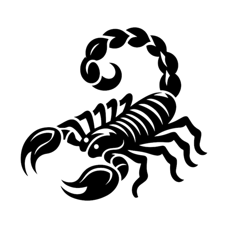 Vector scorpion vector silhouette