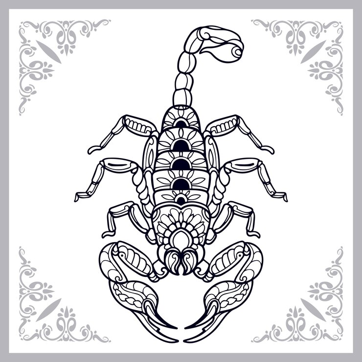Vector scorpion zentangle arts isolated on white background