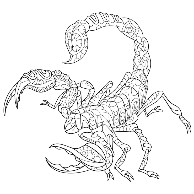 Vector scorpion. zentangle colouring illustration. line art design for adult coloring book page.