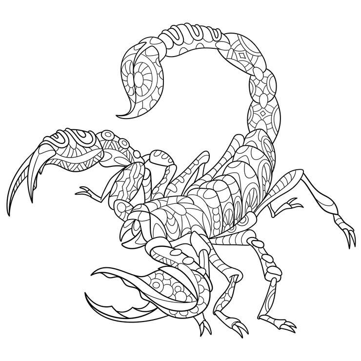 Vector scorpion. zentangle colouring illustration. line art design for adult coloring book page.
