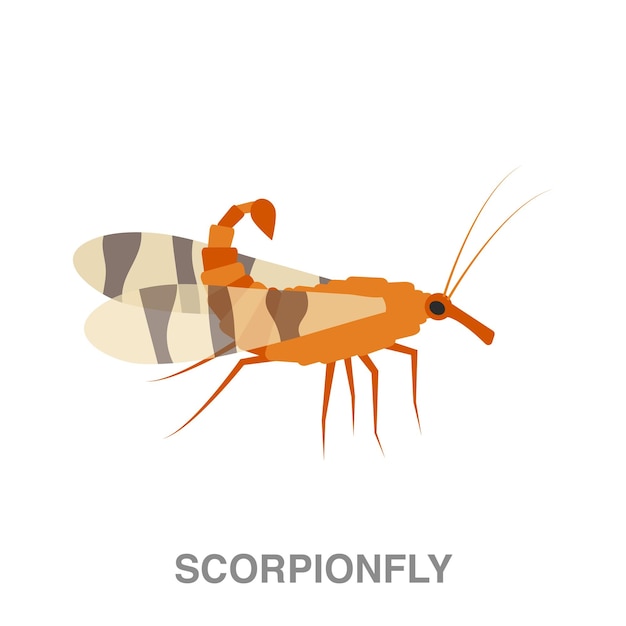 Scorpionfly illustration on transparent background