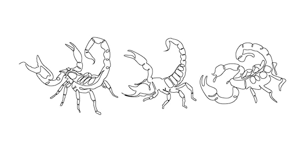 Vettore illustrazione del set di linee continue scorpions