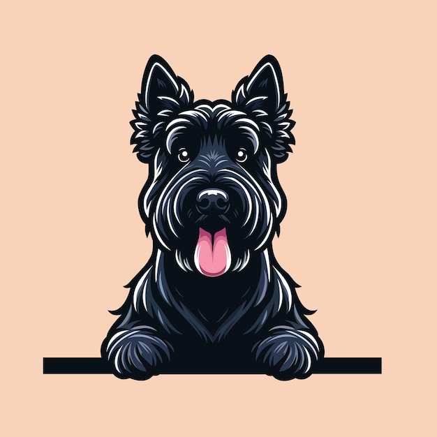 Scottish Terrier hond peekende gezicht illustratie geïsoleerd