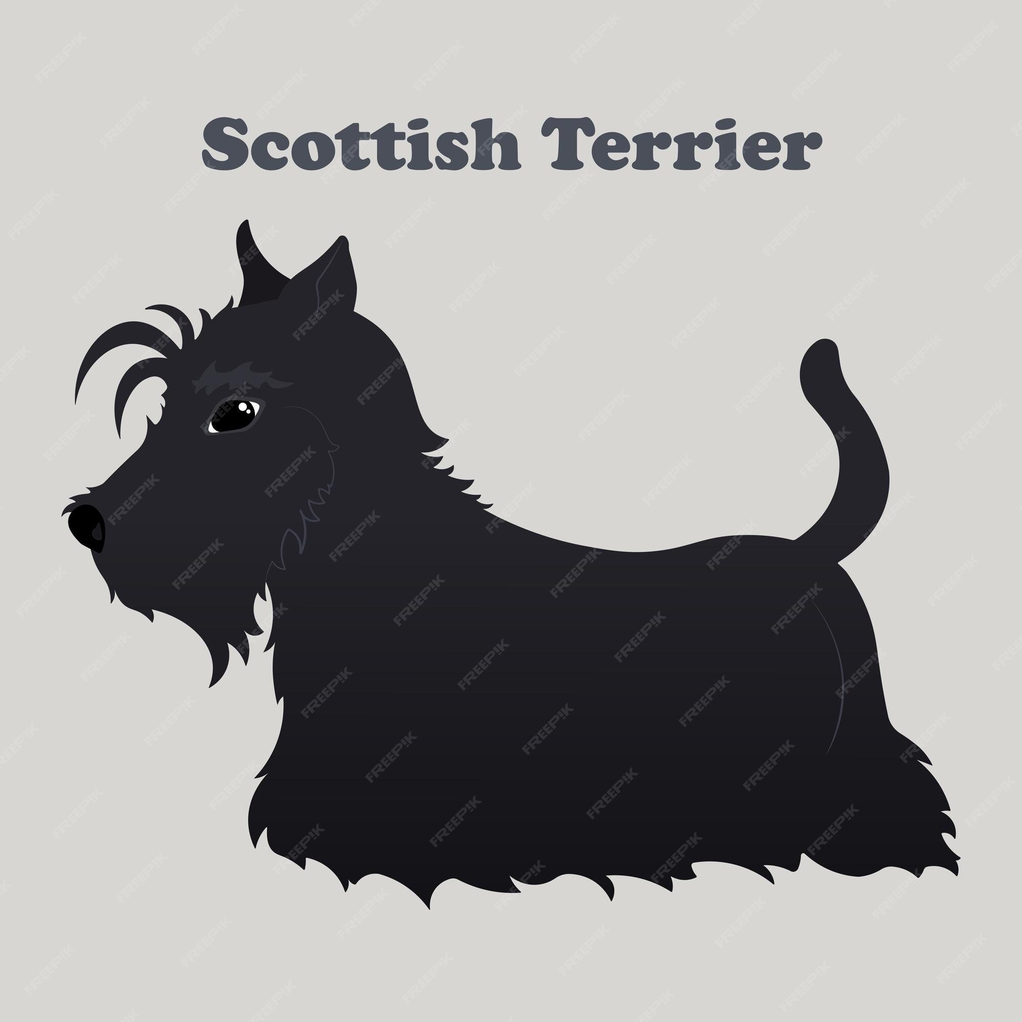 Cute Scottish Terrier Dog Icon on the App Store