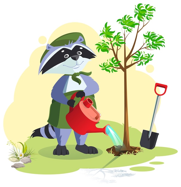 Scout planting and watering tree. Boy scout raccoon care for nature. Vector cartoon illustration