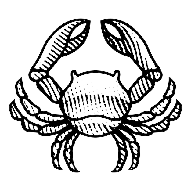 Vector scratchboard engraved crab