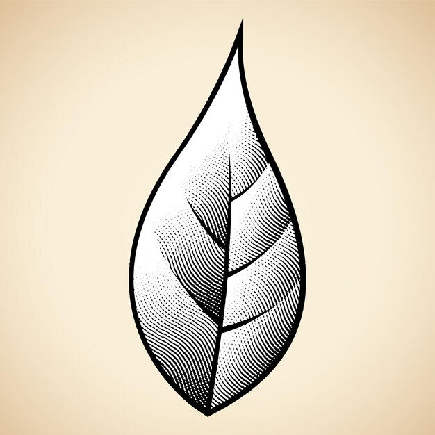 Vector scratchboard engraved leaf on a beige background