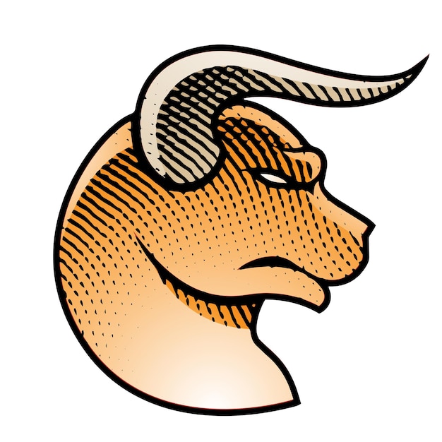 Scratchboard gegraveerde stier profielweergave met kleurrijke vulling