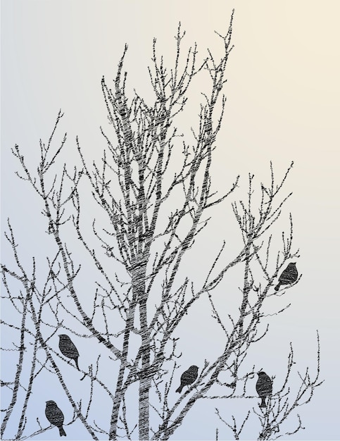 Vector scribble drawing of silhouettes branches bare tree with sparrows flock