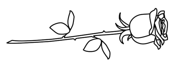 Scribble rozenbloem met de hand getekend met dunne lijn Vector illustratie geïsoleerd op witte achtergrond