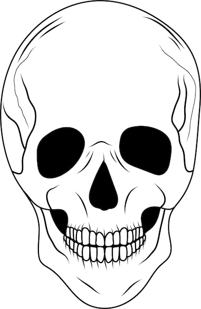 Scull skull silhouette illustrazione mistica vettore