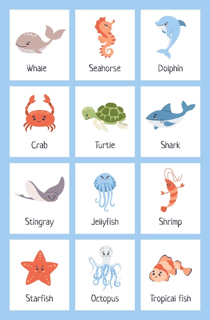 Vettore flashcard di animali marini imparare il vocabolario degli oceani creature marine carte stampabili insegnamento degli animali