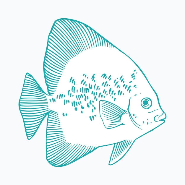 sea animal illustration vector