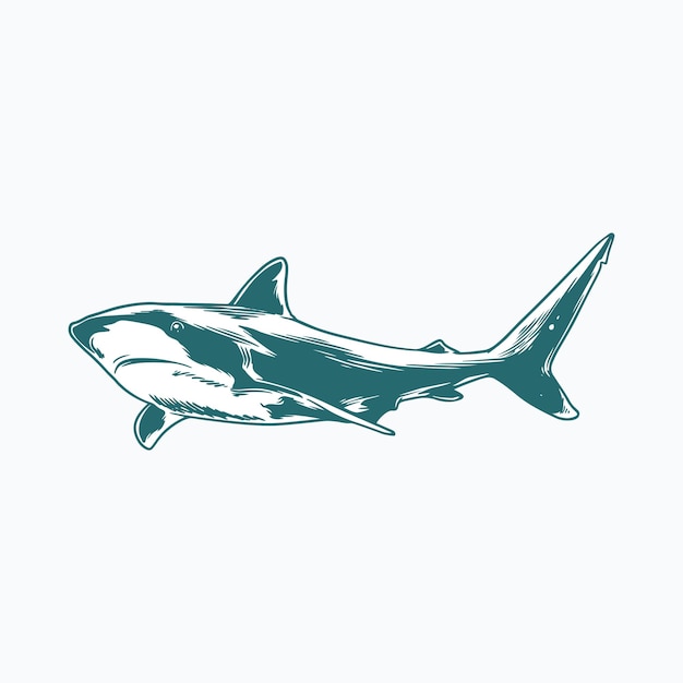 sea animal illustration vector