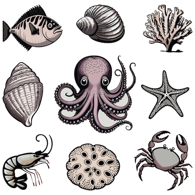 Sea animals collection of illustrations