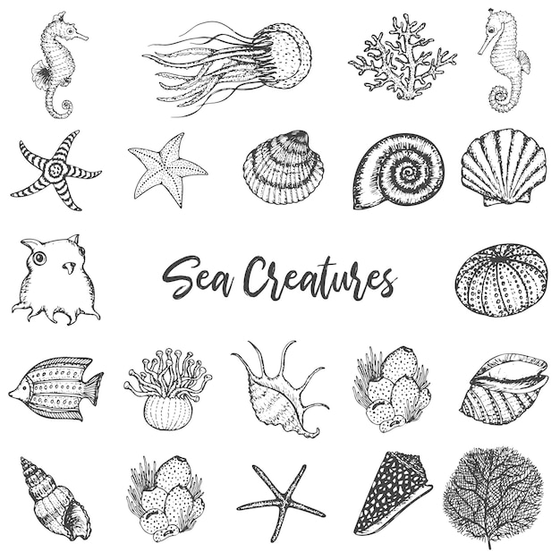 Sea Animals and Creatures Hand Drawn Vintage Set.