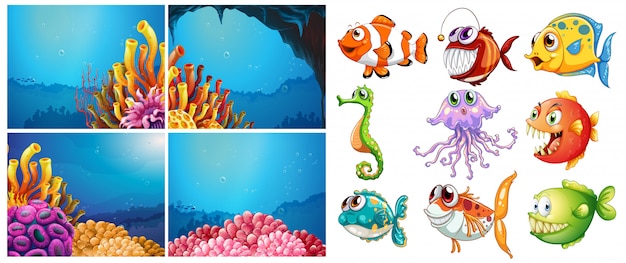 Vector sea animals and four scenes underwater