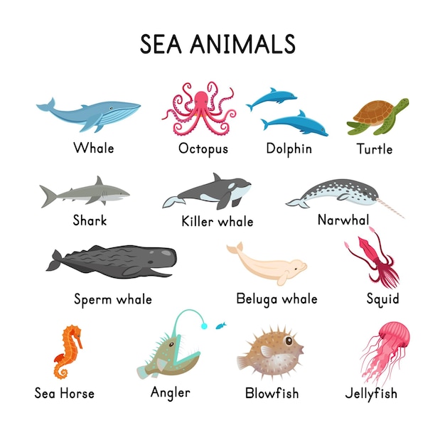 Seaanimalsクジラシールキラークジラマッコウクジライッカクベルーガタコサメイルカカメタツノオトシゴクラゲ釣り人イカフグ白い背景フラット漫画イラスト