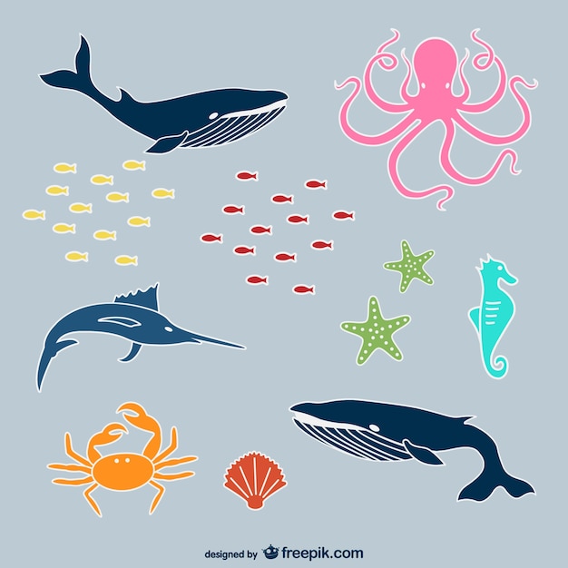 Sea animals