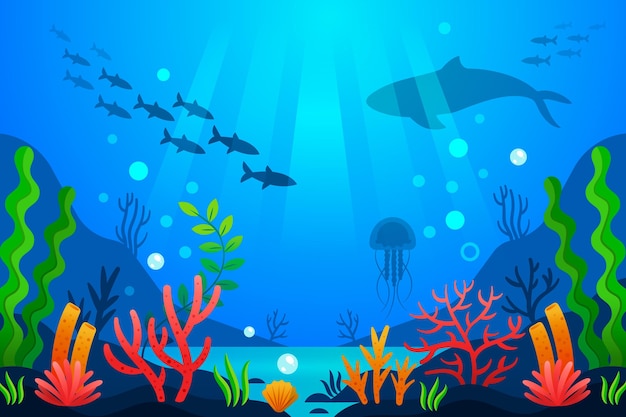 Under the sea - background for video conferencing