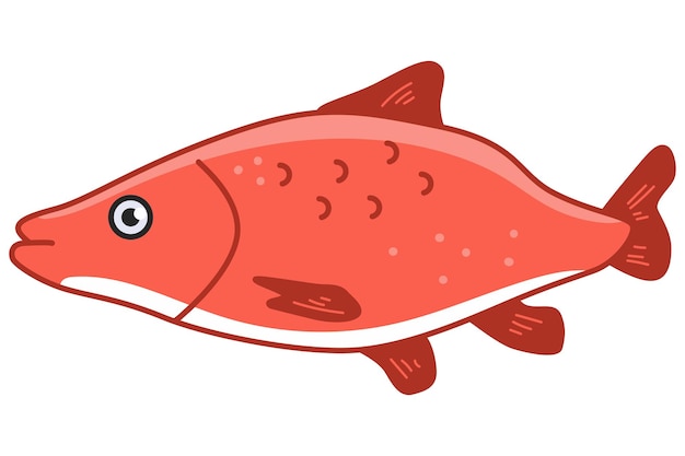 Vector sea bass fish vector cartoon illustration isolated on a white background