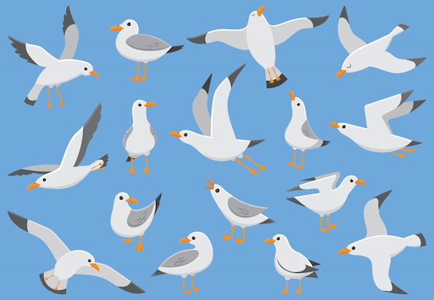 Vector sea birds, gull cartoon vector illustration