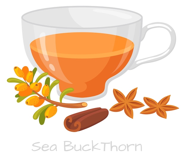 Vector sea buckthorn drink in glass cup healthy tea