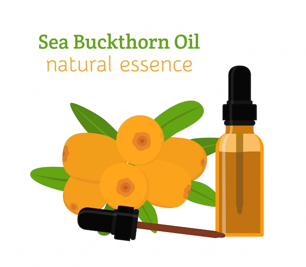 Vector sea buckthorn natural oil