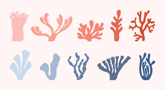 Sea corals drawn in Henry Matisse style.