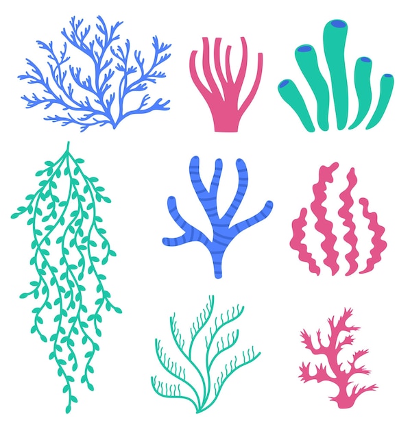 Sea corals and seaweeds underwater colorful plants undersea floral wildlife and aquarium elements natural algae