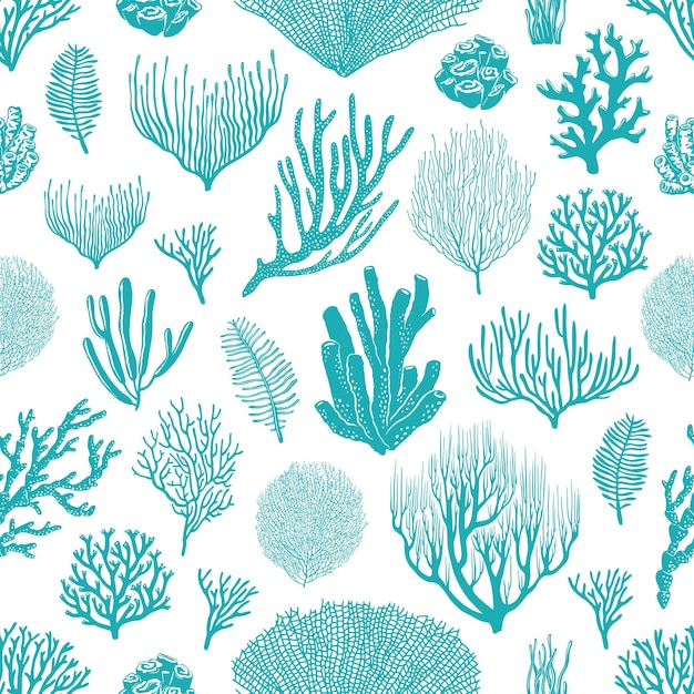 sea corals, sponges and seaweed seamless pattern